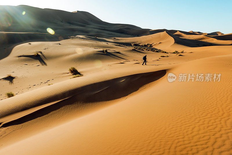 ，男性走在沙丘上，早上，Erg Chebbi，摩洛哥